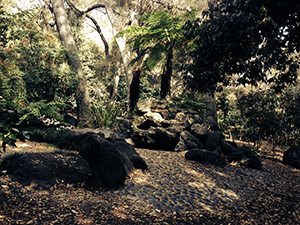 My tranquil spot at Descanso Gardens - in the woods at Feather Falls