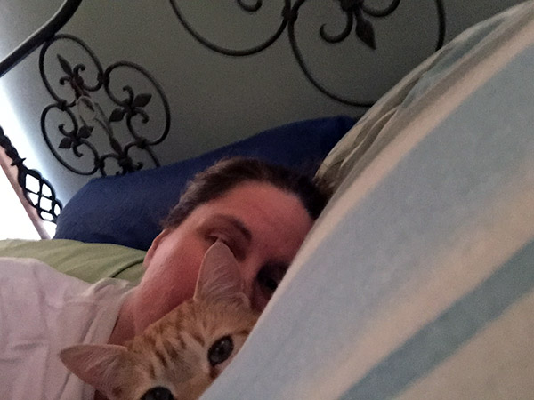 Laurie and Tiger hidden by pillows in the bed.